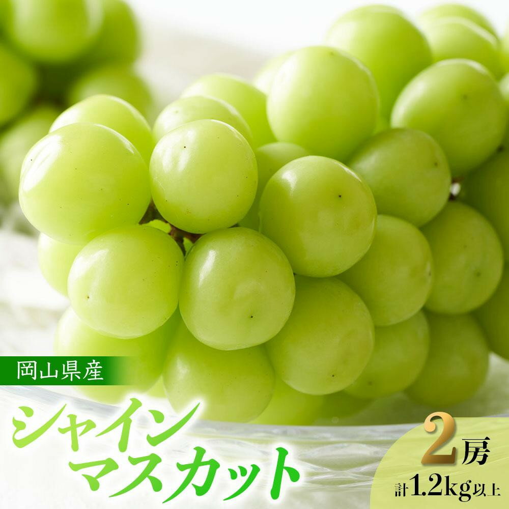 【ふるさと納税】【内容量が選べる】ぶどう 2026年 岡山県産 シャインマスカット 2房 計1.2kg以上又は 3～4房 計2kg以上 | フルーツ 果物 くだもの 食品 人気 おすすめ 送料無料