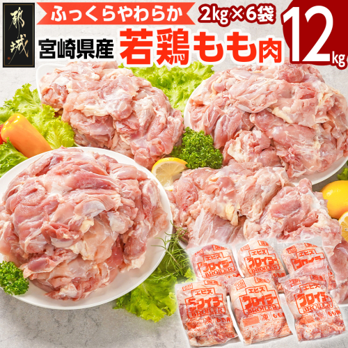 宮崎県産若鶏 もも肉(12kg)_29-G301