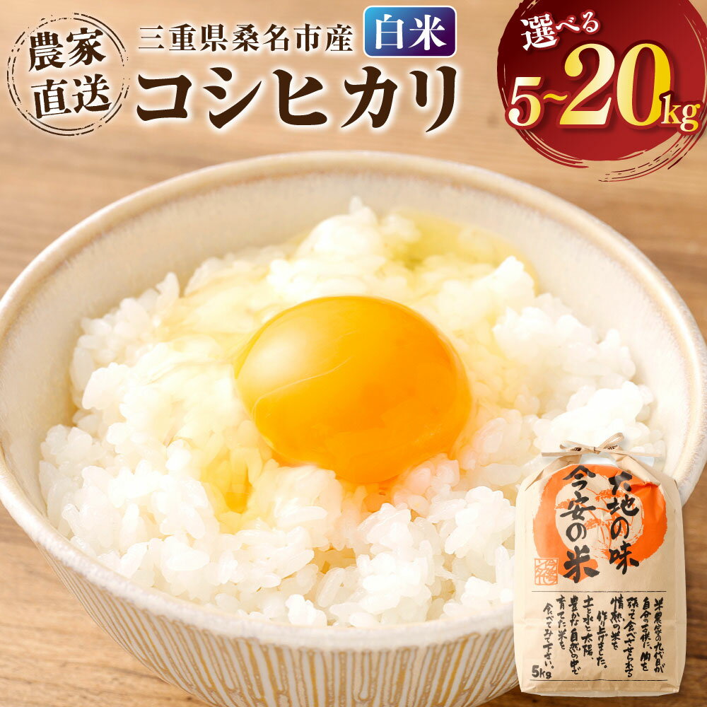 【ふるさと納税】今安R.C 桑名産 農家直送の白米 ＜選べる容量＞ 5kg×1袋 / 10kg×1袋 / 計20kg（10kg×2袋） 【6月～9月発送不可】 コシヒカリ 令和7年産 お米 こめ コメ 白米 単一原料米 ごはん ご飯 国産 三重県産 桑名市 送料無料
