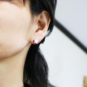 ブランツ 星のピアス ｜ 星型 ピアス シルバー 立体 装飾  両耳 五芒星 星空 宙ジュエリー 鏡面 星 star スター 流星 シルバー 銀 耳飾り 天体 夜空