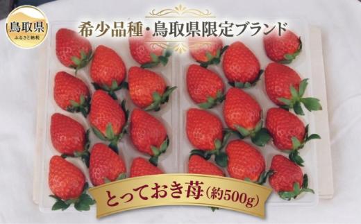 B25-087 【希少品種・鳥取県限定ブランド】とっておき苺（約500g） 鳥取県 おすすめ いちご イチゴ 苺