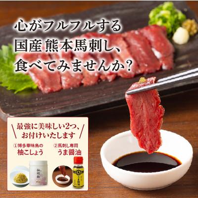 ふるさと納税 御船町 【毎月定期便】◆熊本馬刺し生活、ウルトラコース(16食分、充実の1ヵ月分)×12ヵ月全12回