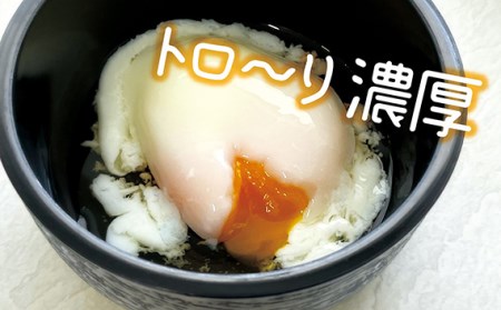 伝承卵「みやこじ」と「温泉たまご」の詰合せ No.217