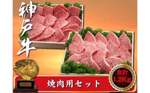 神戸牛 焼肉用セット　合計1200g　SOYS5