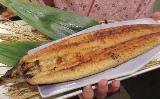 
高知県産うなぎ白醤油焼き
