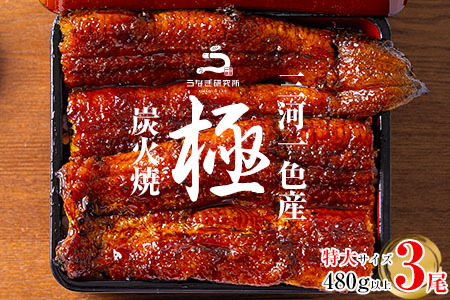 【土用の丑用までにお届け】三河一色産うなぎ蒲焼特大3尾(480g以上)・R008-c1