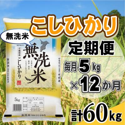 ふるさと納税 大網白里市 【毎月定期便】コシヒカリ 無洗米 5kg (5kg×1袋)全12回
