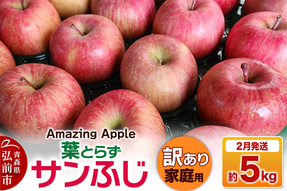 【27年2月発送】りんご 葉とらずサンふじ【訳あり】家庭用 約5kg [りんご サンふじ 葉とらず ふじ 訳あり 家庭用 5kg アップル おいしい 果実 果物 取ら 赤色 美味 葉っぱ 林檎 青森県 弘前市]