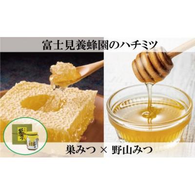 ふるさと納税 志木市 富士見養蜂園の国産巣みつ×野山みつ ギフトセット