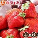 【ふるさと納税】福岡県産 春あまおう 4パック 6パック 南国フルーツ株式会社《2月上旬-3月末頃出荷》福岡県 鞍手町 あまおう いちご イチゴ 送料無料【配送不可地域あり】