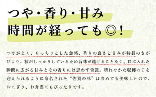 《先行予約》《2026年1月発送》 令和7年産 さがびより（精米）10・ [D-627-AS(1)]