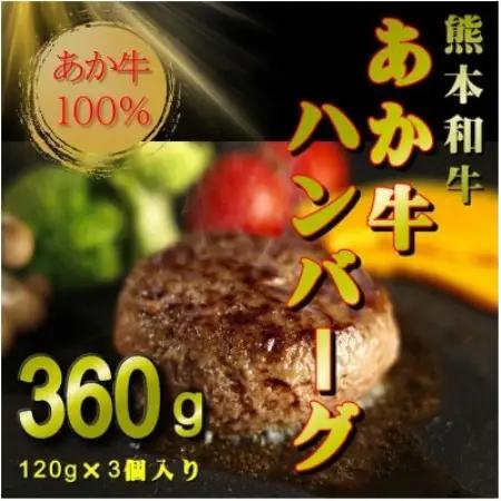 熊本和牛あか牛ハンバーグ3個セット(あか牛ハンバーグ120g×3個)(益城町)【配送不可地域：離島】【1753787】