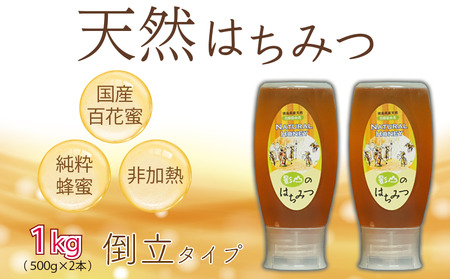 はちみつ 蜂蜜 500g×2本 【 はちみつ 】