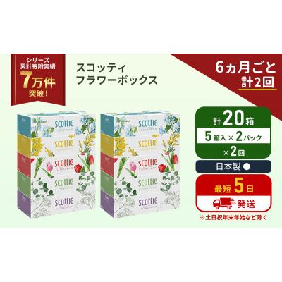 ふるさと納税 岩沼市 定期便 ティッシュ スコッティ  20箱 (5箱×2P)《計2 回》[No.5704-1127] |  | 01
