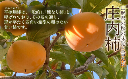 【令和7年産先行予約】家庭用　庄内柿（ひらたねなし柿）約5kg（28～36玉） 山形県鶴岡市産　重ちゃん農園