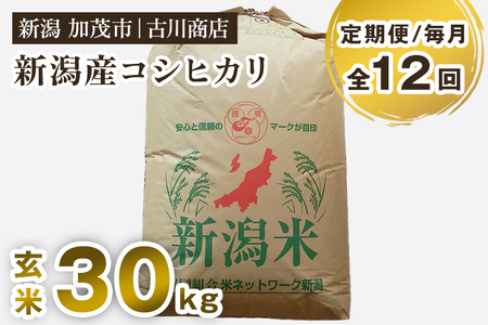 【定期便12ヶ月毎月お届け】新潟県加茂市産コシヒカリ 玄米30kg お米の専門店 古川商店 定期便 定期購入 定期 コシヒカリ 新潟県産コシヒカリ 米 お米