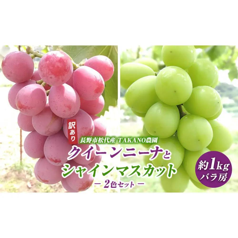 高野農園　ぶどう 訳あり 先行予約 シャインマスカット クイーンニーナ 計約1kg 種なし 不揃い  |シャインマスカット