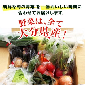 【定期便3回】【JA直売所直送】春夏秋冬野菜セット | 毎月届く 旬野菜 野菜 やさい ヤサイ 旬 国産 国産野菜 定期 定期便 3回 大分県 中津市