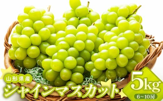 山形県産 シャインマスカット 秀品 5kg（6～10房） FSY-2254