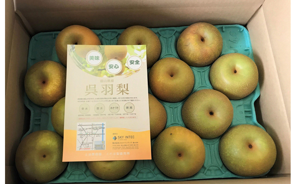 【先行受付】くれは梨　5kg箱