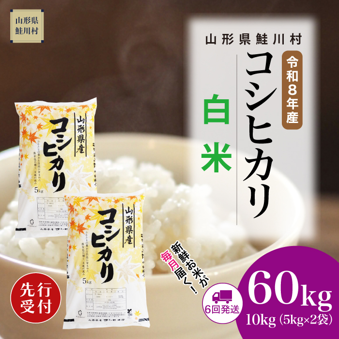 ＜令和8年産米先行受付＞ 山形県産 こしひかり 【白米】60kg定期便(10kg×6回)　配送時期指定できます！