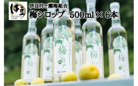 月ヶ瀬梅シロップ 500ml 6本 セット028-001