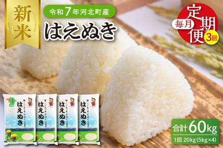 【令和7年産米】※2025年12月中旬開始※ はえぬき60kg（10kg×6ヶ月）定期便 山形県産 【JAさがえ西村山】ka008-010d-r7-12052 先行受付 米 送料無料 ブランド米 白米 精米 こめ ライス ごはん ご飯 おにぎり 弁当 食品 山形県 河北町