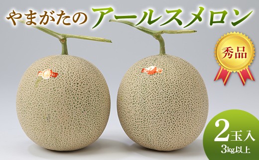 【先行予約R8年9月発送開始】 やまがたのアールスメロン 秀品 3kg 2玉入 FSY-2622