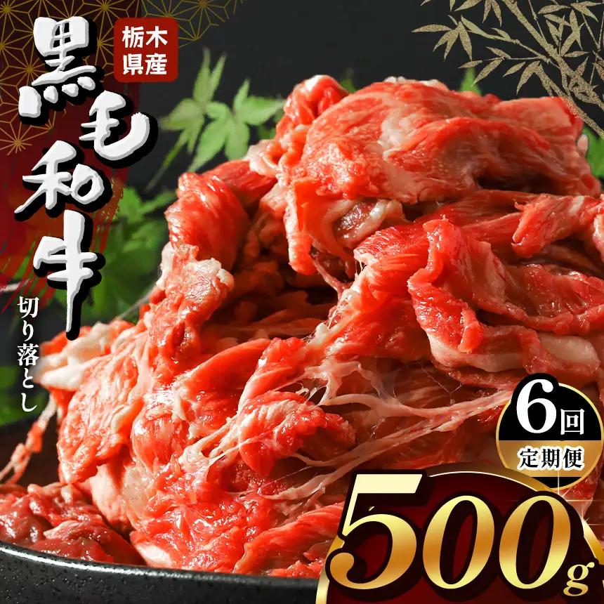 【定期便6回】栃木県産牛 黒毛和牛 切り落とし 500g | 栃木県 下野市