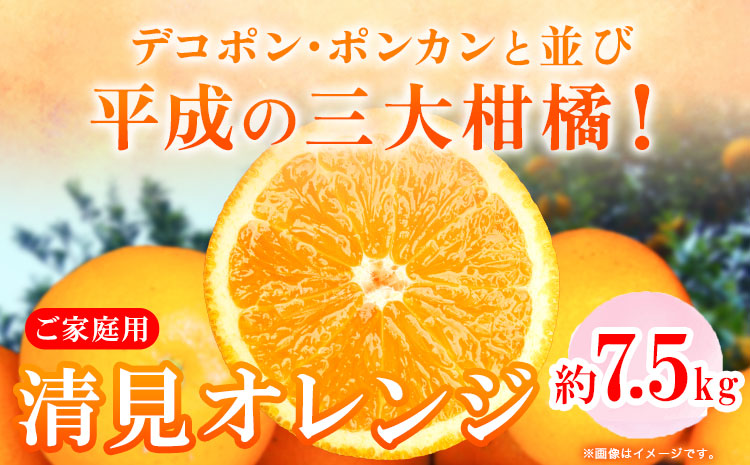＜先行予約＞【家庭用訳アリ】紀州有田産清見オレンジ約7.5kg株式会社魚鶴商店《2027年3月下旬-4月下旬頃出荷》和歌山県オレンジ柑橘ご家庭用---wsh_uot243_3g4g_26_16000_7500g---