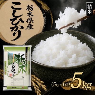 ふるさと納税 矢板市 【令和8年産 新米】【食味鑑定士厳選】栃木県産 コシヒカリ 5kg(5kg×1袋)(矢板市)