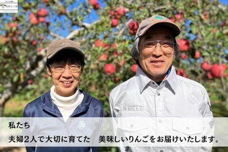 黄金に輝く　シナノゴールド　３キロ　贈答用【数量限定】［SK-102］