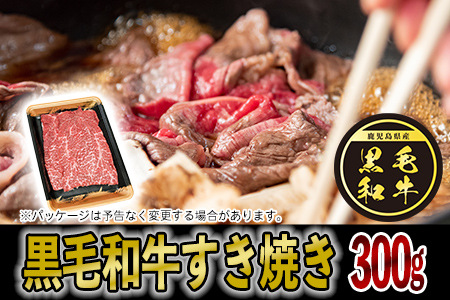 027-64 黒豚・黒毛和牛・うなぎ 鹿児島!味の極み便B