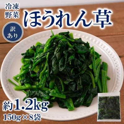 ふるさと納税 三股町 【訳あり】工場直送 国産冷凍カットほうれん草小分けパック総量約1.2kg約150g×8【MI546】