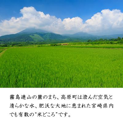 ふるさと納税 高原町 【令和7年産 新米】宮崎県高原町産ひのひかり白米定期便5kg×3回(計15kg) TF855 |  | 01