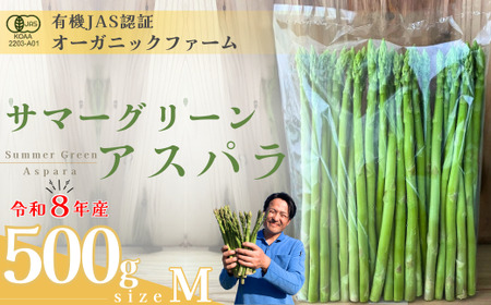 【先行予約】オーガニック サマーグリーンアスパラガス  M 500g アスパラガス