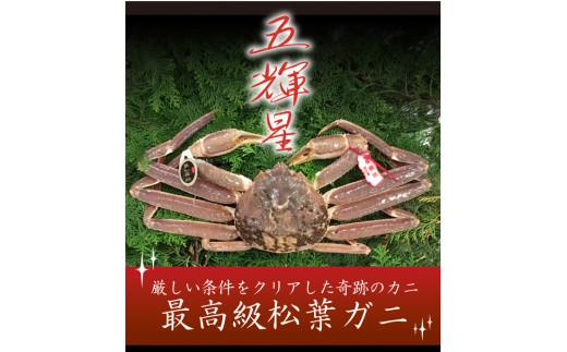 特選とっとり松葉ガニ「五輝星(いつきぼし)」【山根商店】 312011_CE002