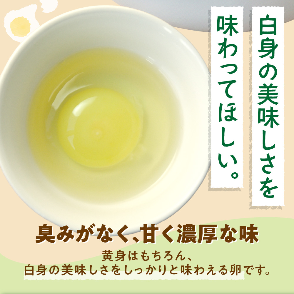 【定期便】飛ぶ鳥農場　海の街たまご　60個×3か月