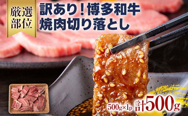 
訳あり！【A4～A5】博多和牛焼肉切り落とし(肩ロース・バラ） 500g 黒毛和牛 お取り寄せグルメ お取り寄せ 福岡 お土産 九州 福岡土産 取り寄せ グルメ 福岡県
