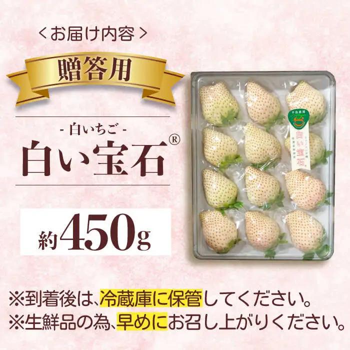 【2027年1月以降順次発送】白い宝石（贈答用）約450g / いちご / 佐賀県 / 手島農園 [41ABAB005]