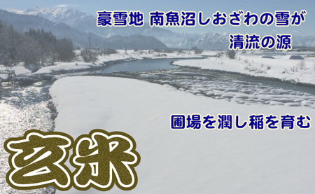 【定期便】玄米 生産者限定 南魚沼しおざわ産コシヒカリ2Kg×6ヶ月