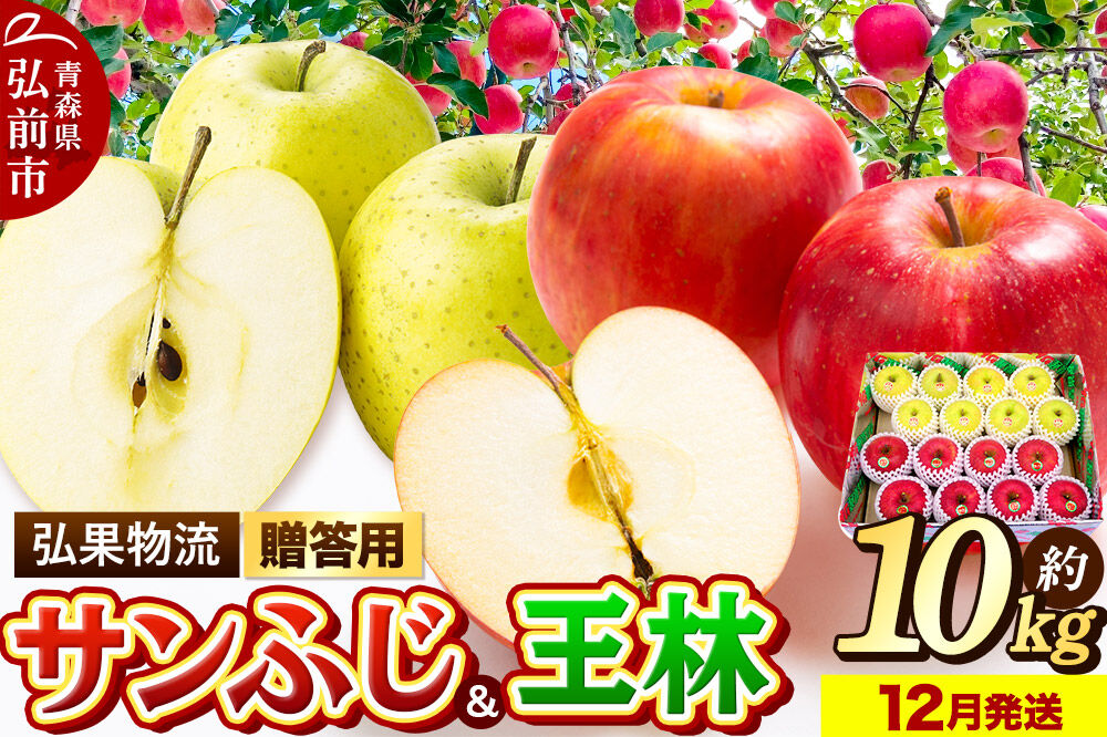 【26年12月発送】りんご 贈答用 サンふじ・王林 詰め合わせ 約10kg [アップル おいしい お歳暮 お中元 ギフト ふじ プレゼント りんご 王林 黄色 果実 果物 詰め合わせ 詰合 赤色 贈り