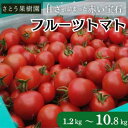 【ふるさと納税】トマト フルーツトマト 1.2kg～10.8kg 1～6箱 フルティカ 藤沢市 野菜 とまと ミニトマト ハウス栽培 A1　お届け：※2024年12月以降順次発送いたします。