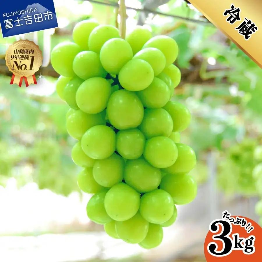 【 2024年発送分 ・ 先行予約 】 山梨県産 シャインマスカット 3kg
