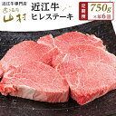 【ふるさと納税】肉 近江牛 定期便【年6回】近江牛ヒレステーキ 750g（4～5枚） 計4.5kg ( 750g × 6回 )