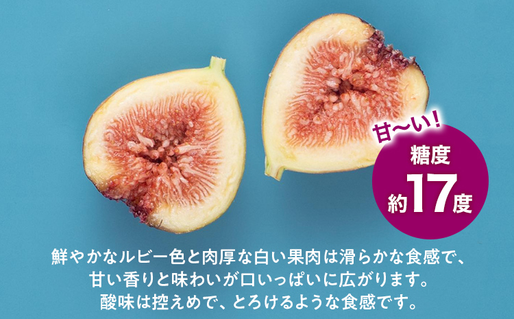 《先行予約》期間限定 いちじく 「とよみつひめ」 1.2kg 福岡県産ブランド フルーツ 無花果 (約300g×4パック) 1200g 南国フルーツ CO013