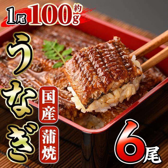 国産 うなぎ 蒲焼 (約100g×6尾) 鰻 タレ かば焼き うな重 うな丼 ひつまぶし 小分け 真空包装 真空パック 【AW-96】【丸正水産】