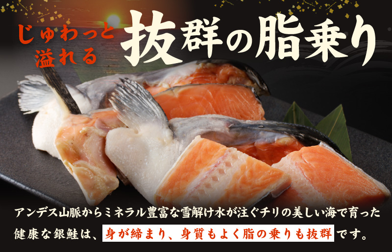 【訳あり】規格外 銀鮭 切り落とし 3kg【カマ 尻尾 小分け 1kg×3P 海鮮 魚介 鮭 さけ しゃけ 部位不揃い 圧倒的企業努力】 kgp0110-1