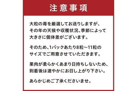 【完熟朝穫れ大玉いちご】章姫２パックセット/北畿水産