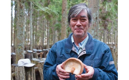 中尾さんちの乾椎茸 中 原木栽培 普通サイズ 100g 1袋 干しシイタケ / SAC中尾 椎茸屋 0787